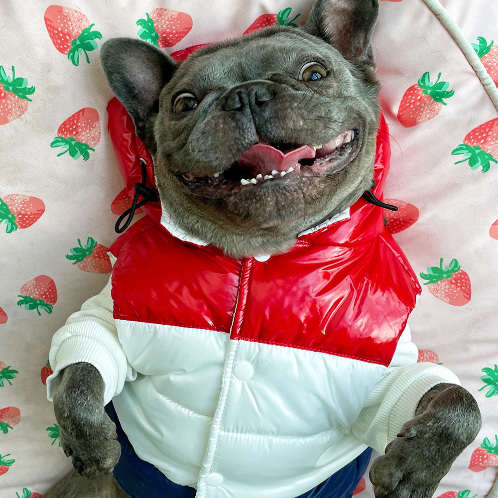 Vêtements d'automne et d'hiver pour animaux de compagnie en trois couleurs Schnauzer Teddy Français Fighting Cow Dog Cotton-p