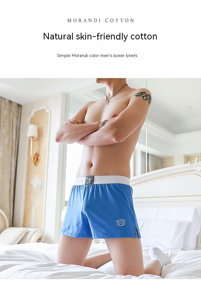 Sous-vêtements en coton purifié homme Confortable Personnalité Respirante Plus Taille Boxer Slip