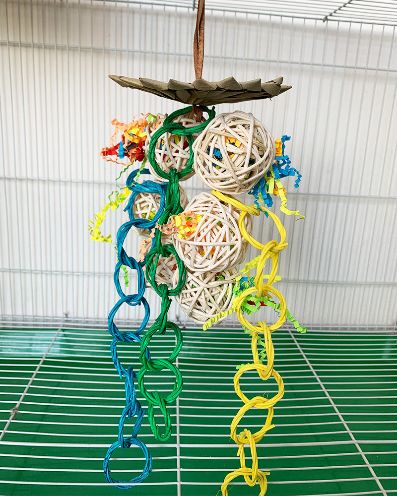 Jouets éducatifs brossé de palmier de perroquet