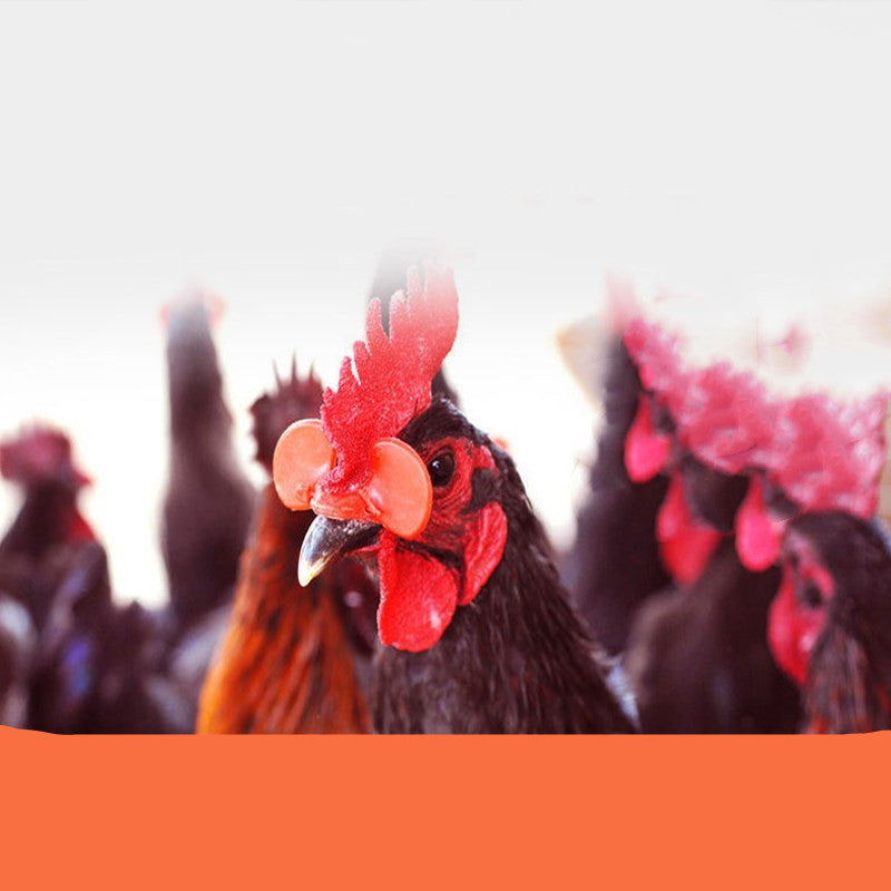 Bouchons de poulet