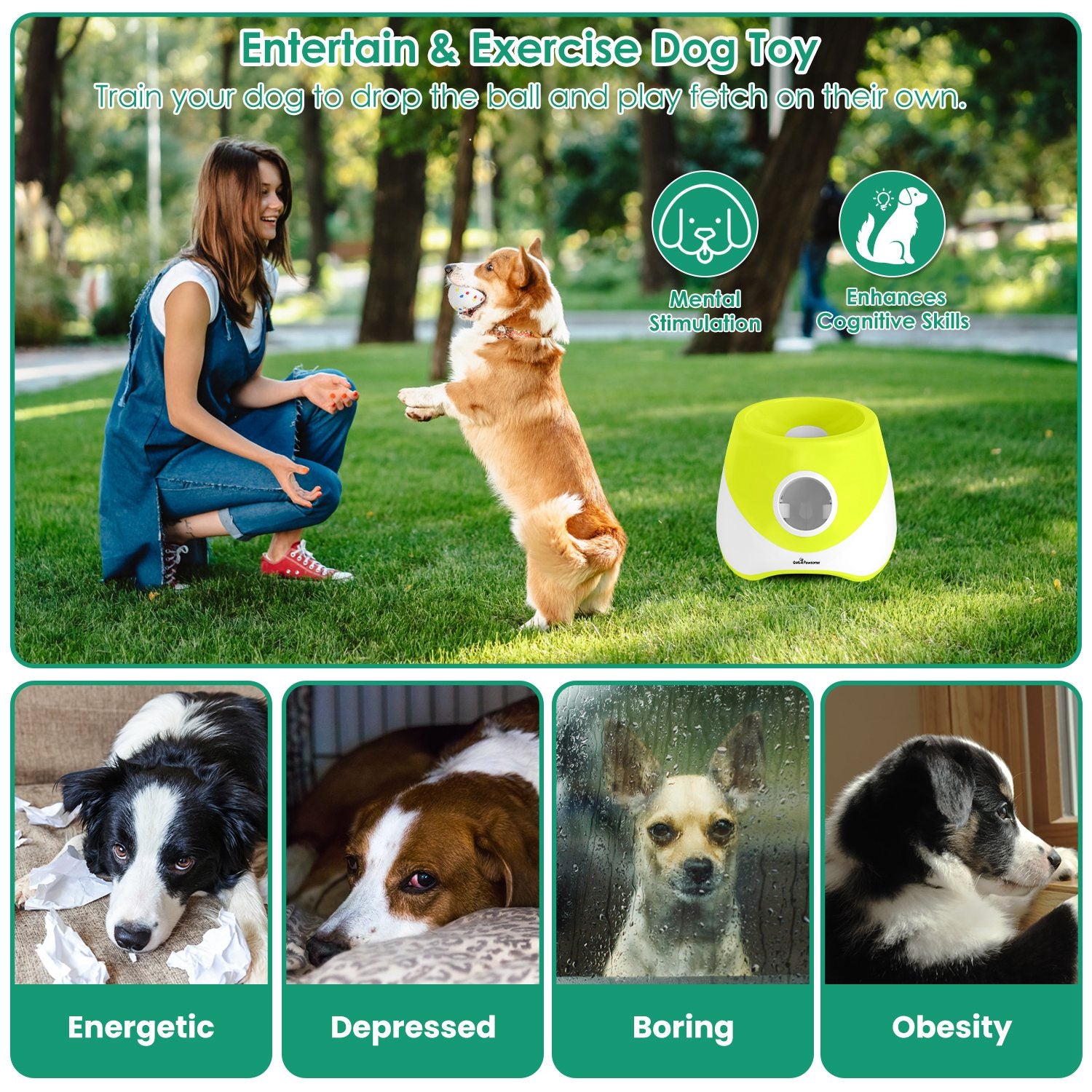 Lance-balles de chien automatique Rechargeable Interactive Pet Ball Lanceur pour petit chien moyen