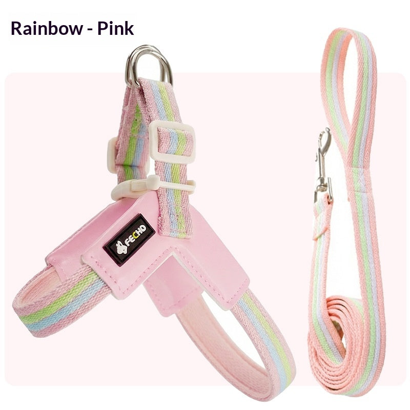 Harnais de laisse de chien respirant Set coloré Rainbow Contrast Design pour petits à moyens chiens