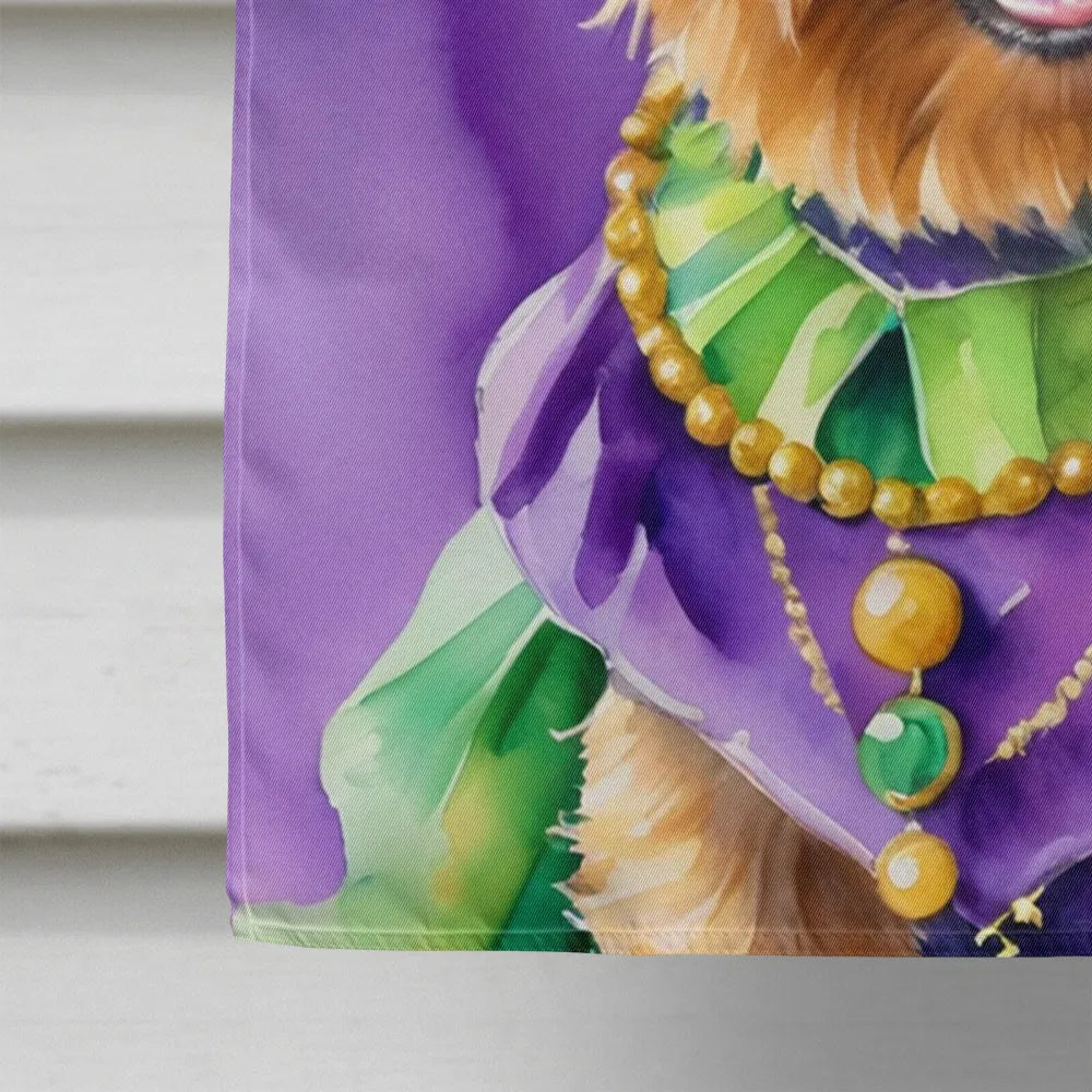 Australien Terrier Roi de Mardi Gras Maison Drapeau Grand Porc Manches Pole décoratif Outsid