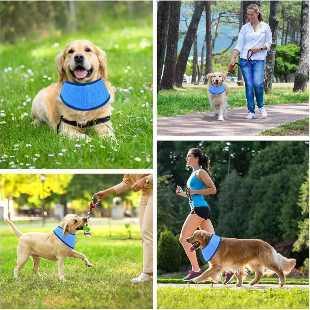Écharpe respirante de refroidissement solaire pour animaux de compagnie