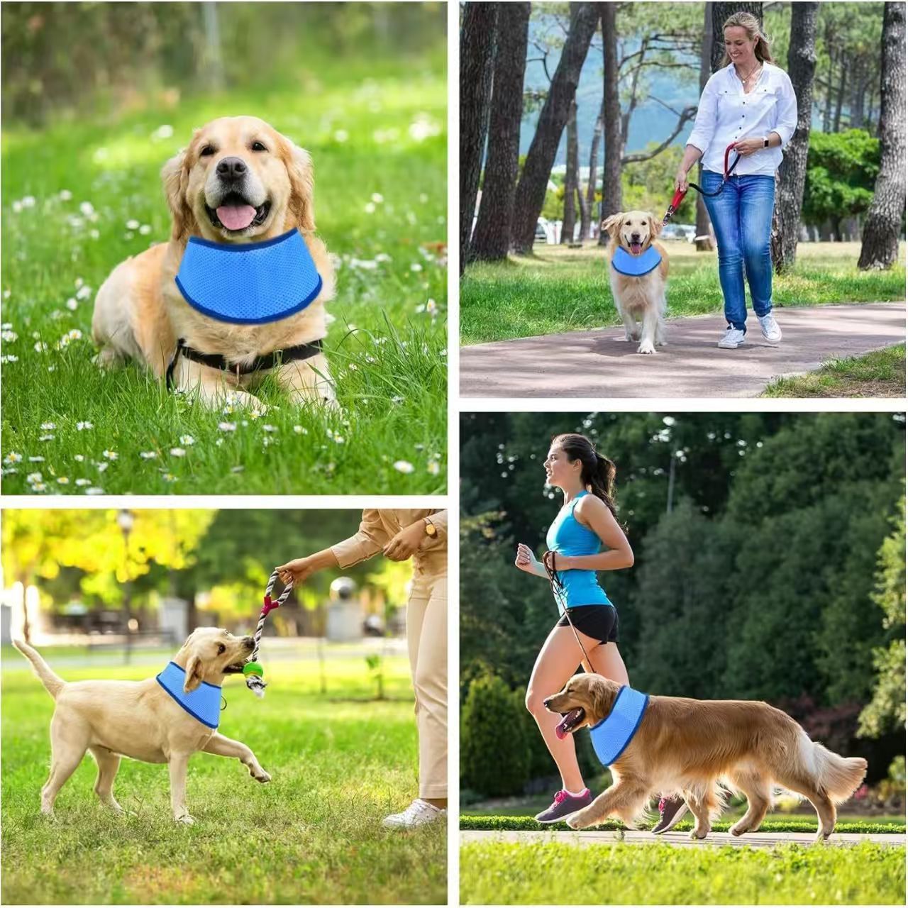 Écharpe respirante de refroidissement solaire pour animaux de compagnie