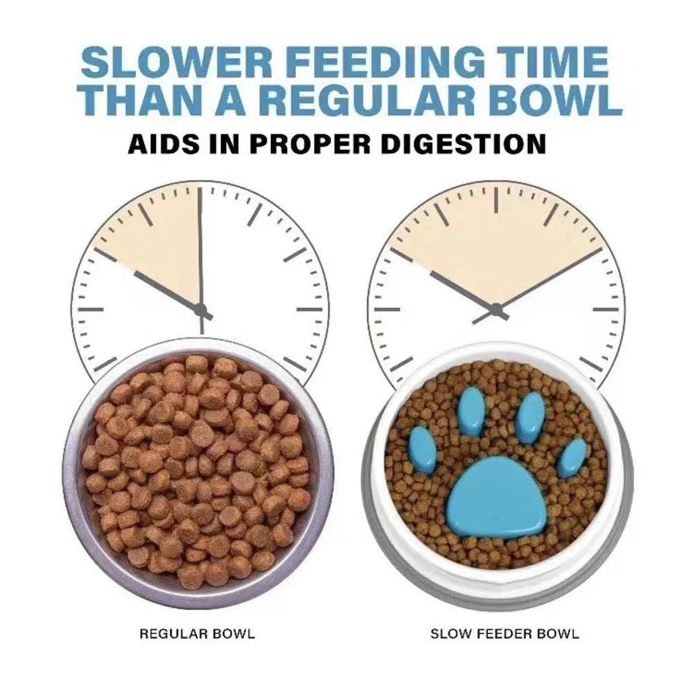 L'alimentation lente Anti-choc et non-dérapant Pet Bowl