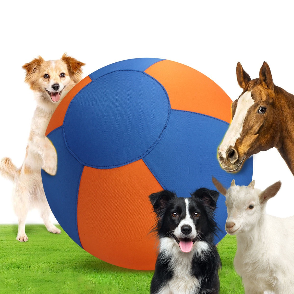 Outdoor Pet Toy Training Balle gonflable auto-jeune