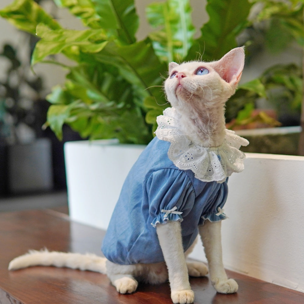 Sphynx Cat robe bleu d'été avec collier de dentelle légère peau-friendly Apparel pour cheveux