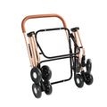 Poussette 3-en-1 pour petits chiens moyens Chats