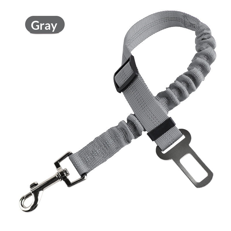 Étendable et rétractable en absorption des chocs Pet Leash