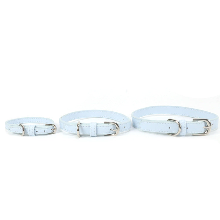 Collier pour chien en cuir pour chiens de taille petite à moyenne avec une corde de traction