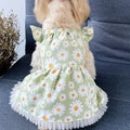 Robe de chien-Petites Daisies-Light Green-XXL-Polyester-1 pièce