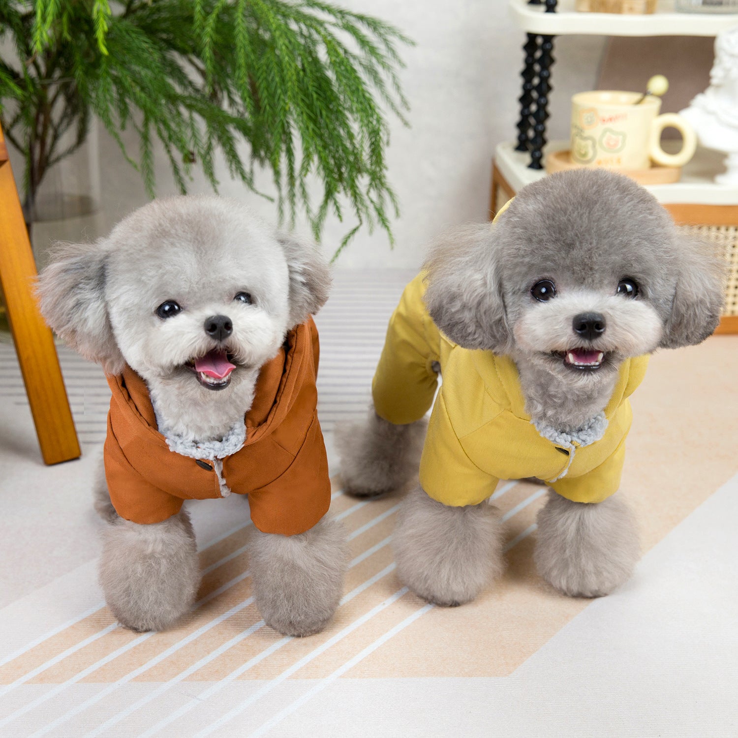 Mode chien Automne et vêtements d'hiver
