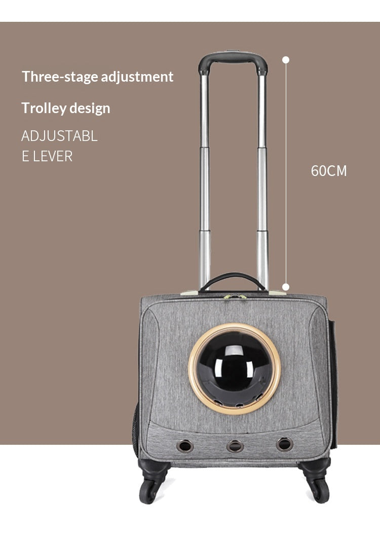 Transporteur universel pour animaux de compagnie