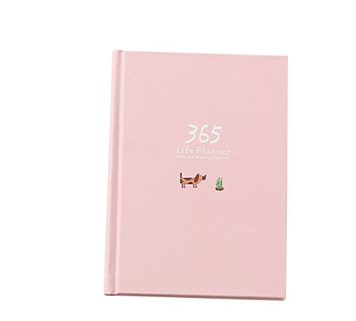 Programmer ce jeu de couleurs Hardback intérieur