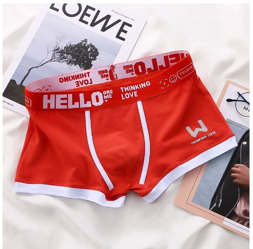 Sous-vêtements Hommes Été Jeunes Casual