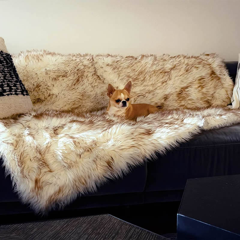 Lit de chien Machine lavable et imperméable Couch Bed