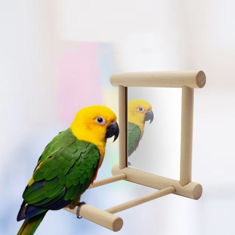 Porte-oiseau avec miroir