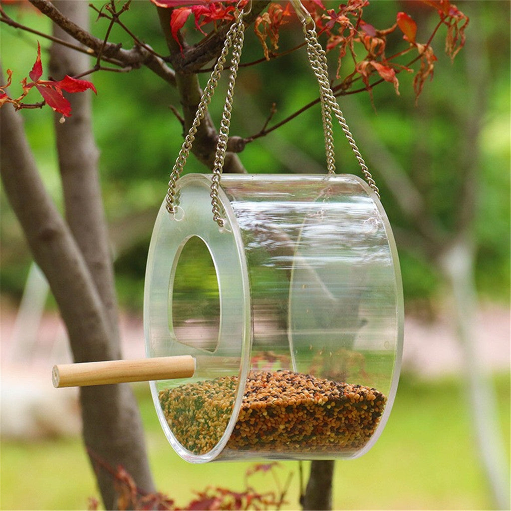 Boîte alimentaire pour oiseaux acryliques