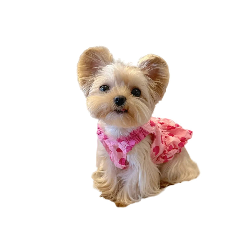 Robe de princesse pour chiens de printemps d'été