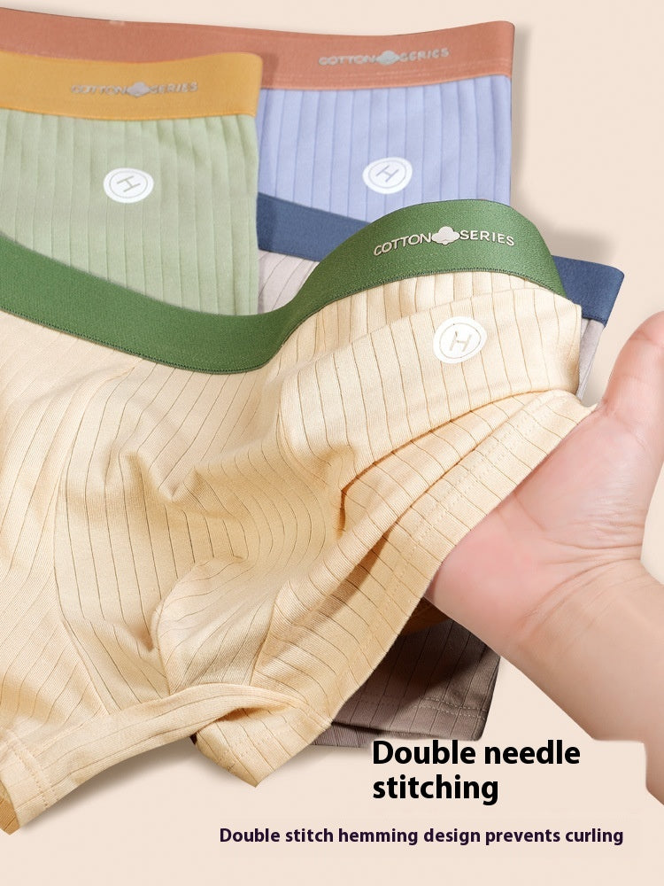 Sous-vêtements Homme Graphène Antibactérien Coton Sans couture