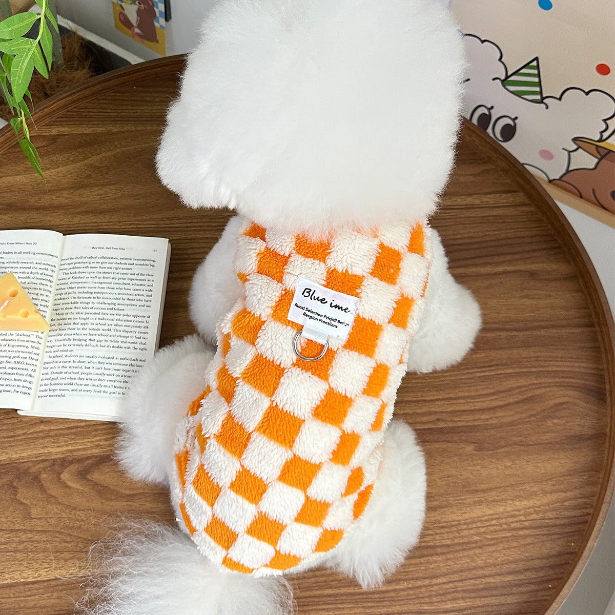 Vêtements de chat Teddy Bichon Veste de traction VIP