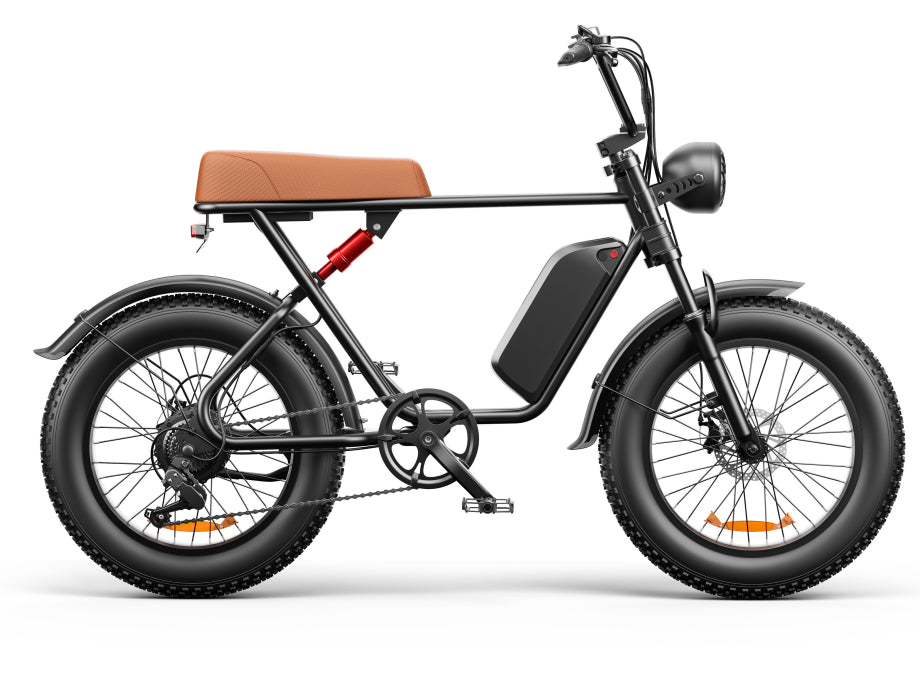 C91 - 20 pouces 20A & 17.5A Vélo électrique..