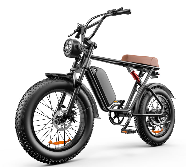 C91 - 20 pouces 20A & 17.5A Vélo électrique..