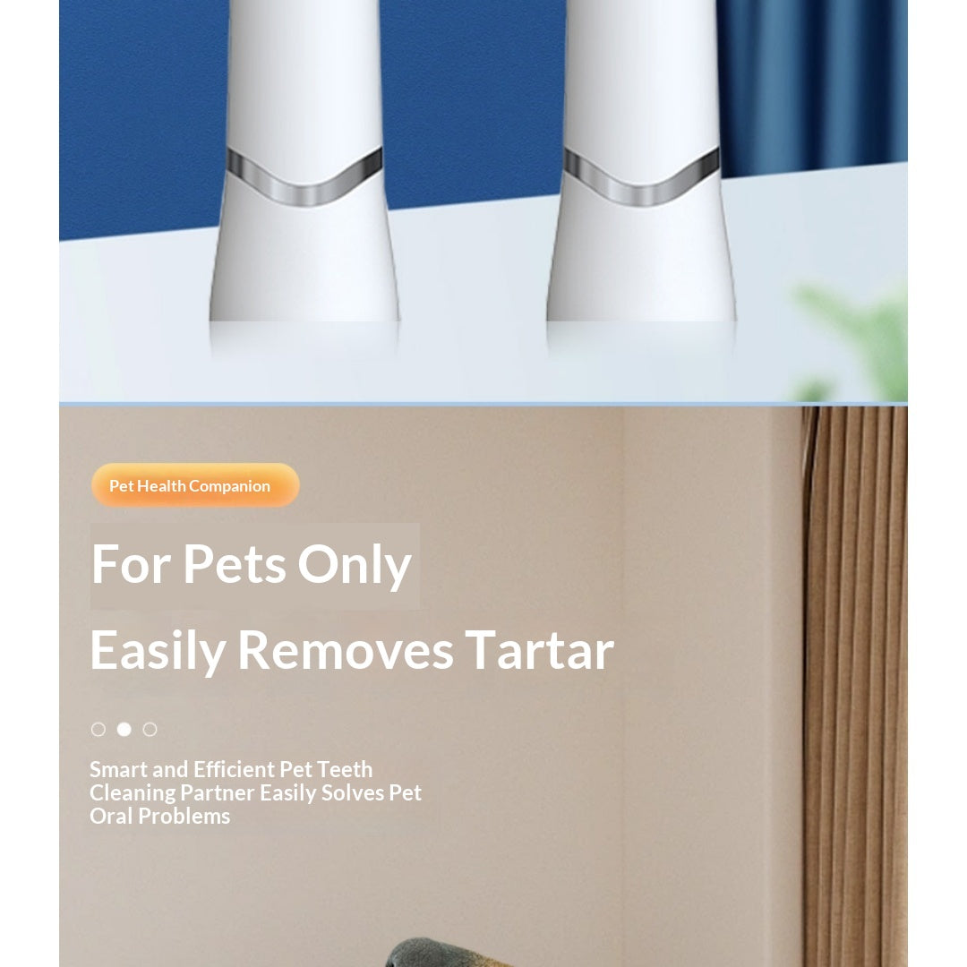 Nettoyeur dentaire ultrasonore de chat