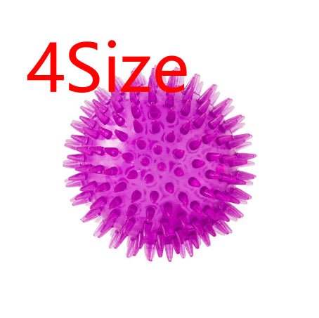 Pet Dog Toy Ball