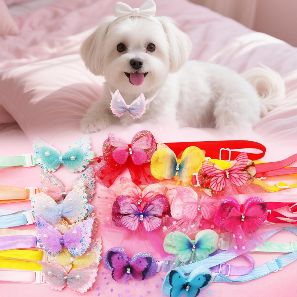 Accessoires collier chien et chat, lot de 20 pour le toilettage