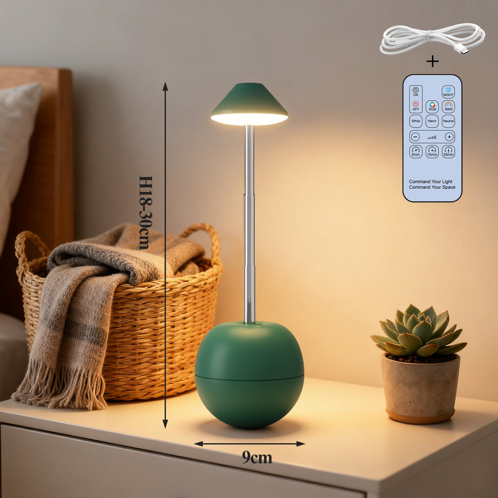 LED lumière de nuit rechargeable de table décorative lampe de bureau de chambre à coucher télécommande