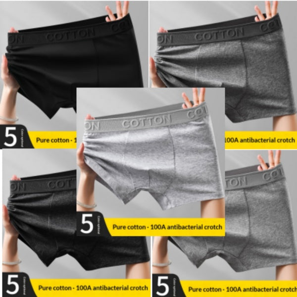 Boxer en coton antibactérien haut de gamme pour hommes