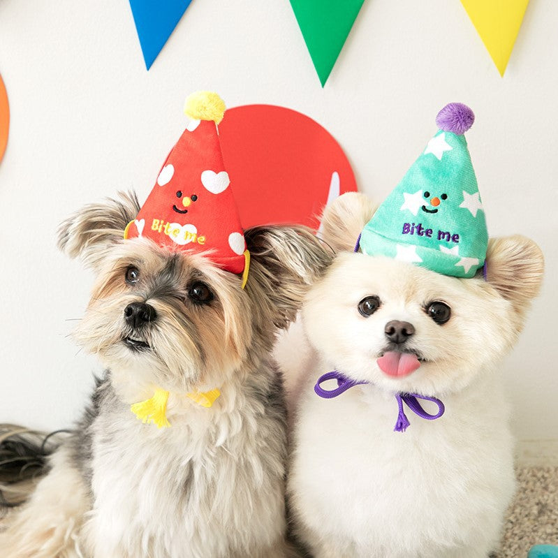 Chapeau d'anniversaire multifonctionnel pour chiens