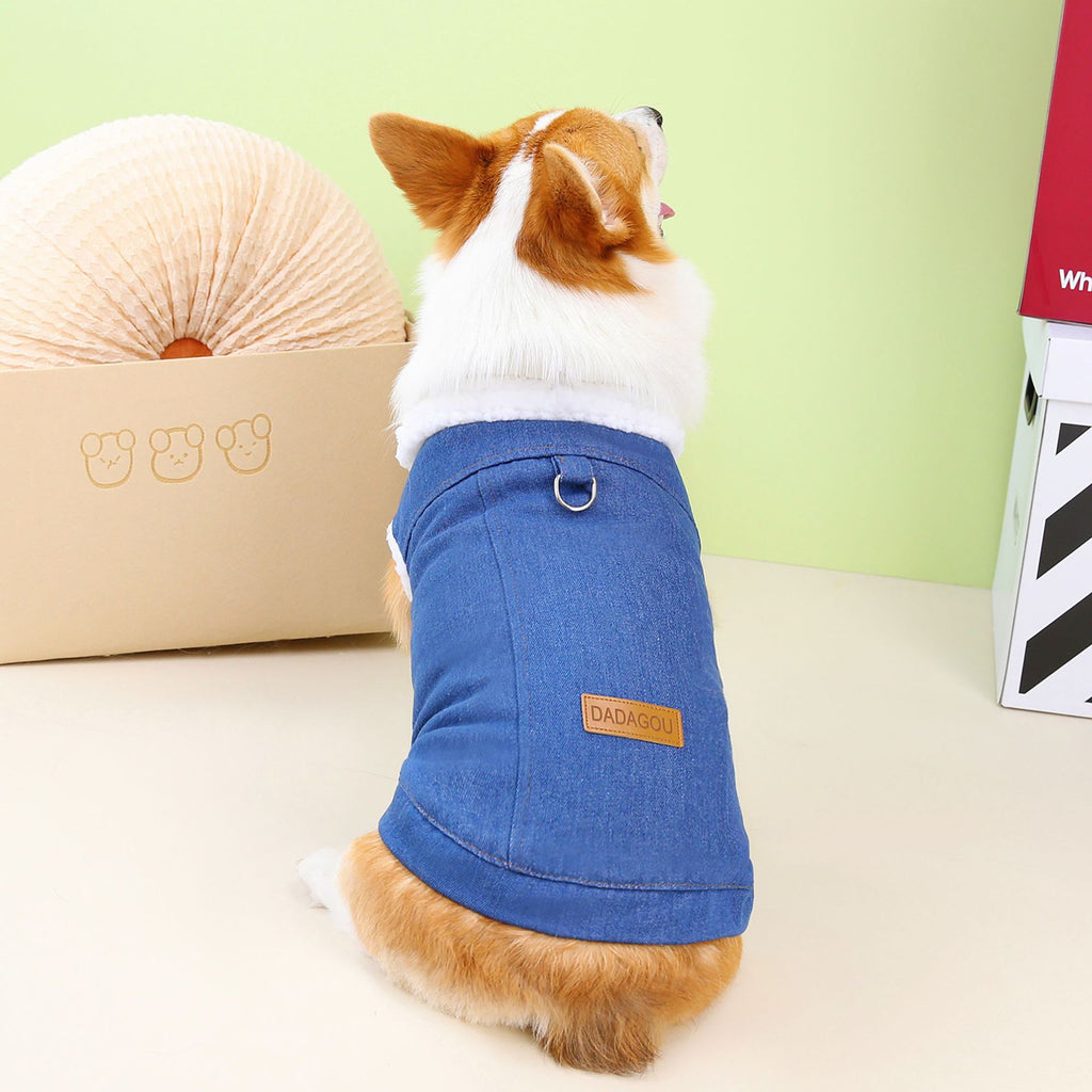 Robe de chien Corgi Denim Coton