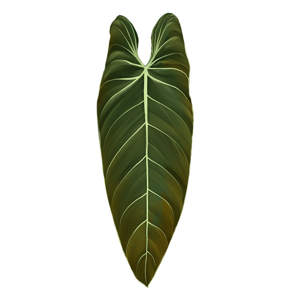Magic plants tropical plants Creative Greenery Refrigerator Magnets
