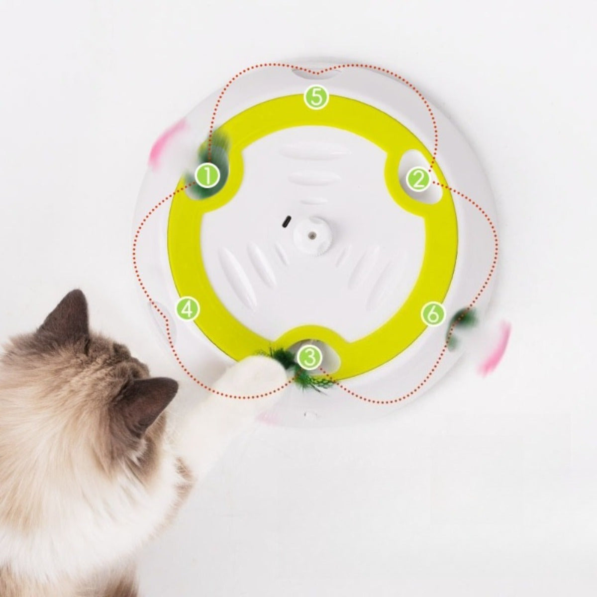 Jouet de chat avec accessoires