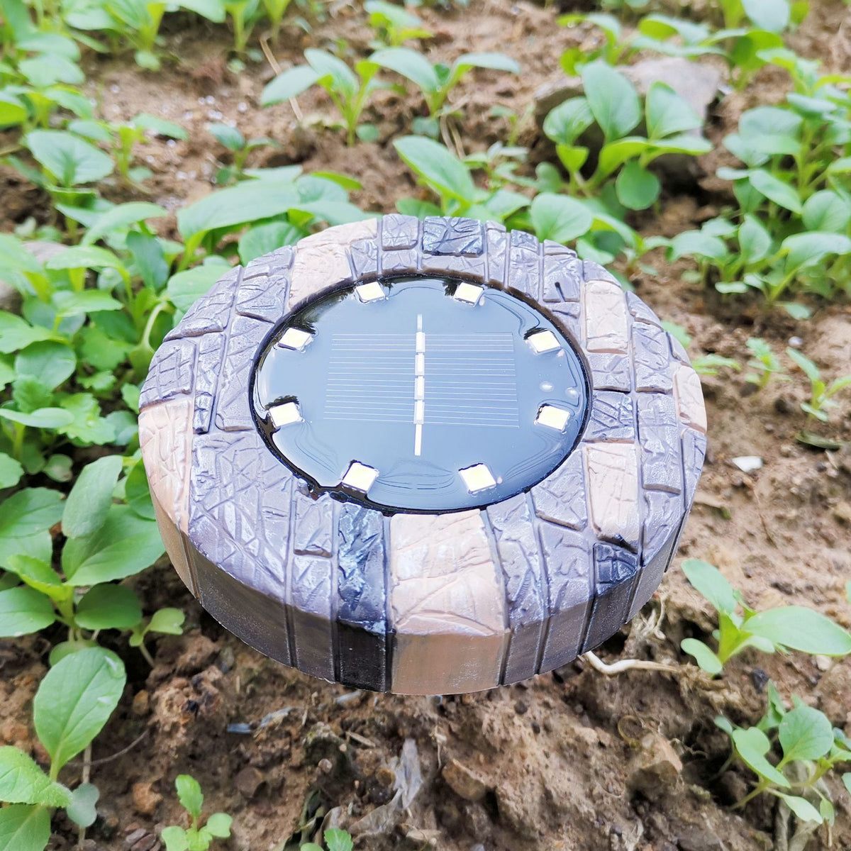 8 led Stone Solar Underground Light