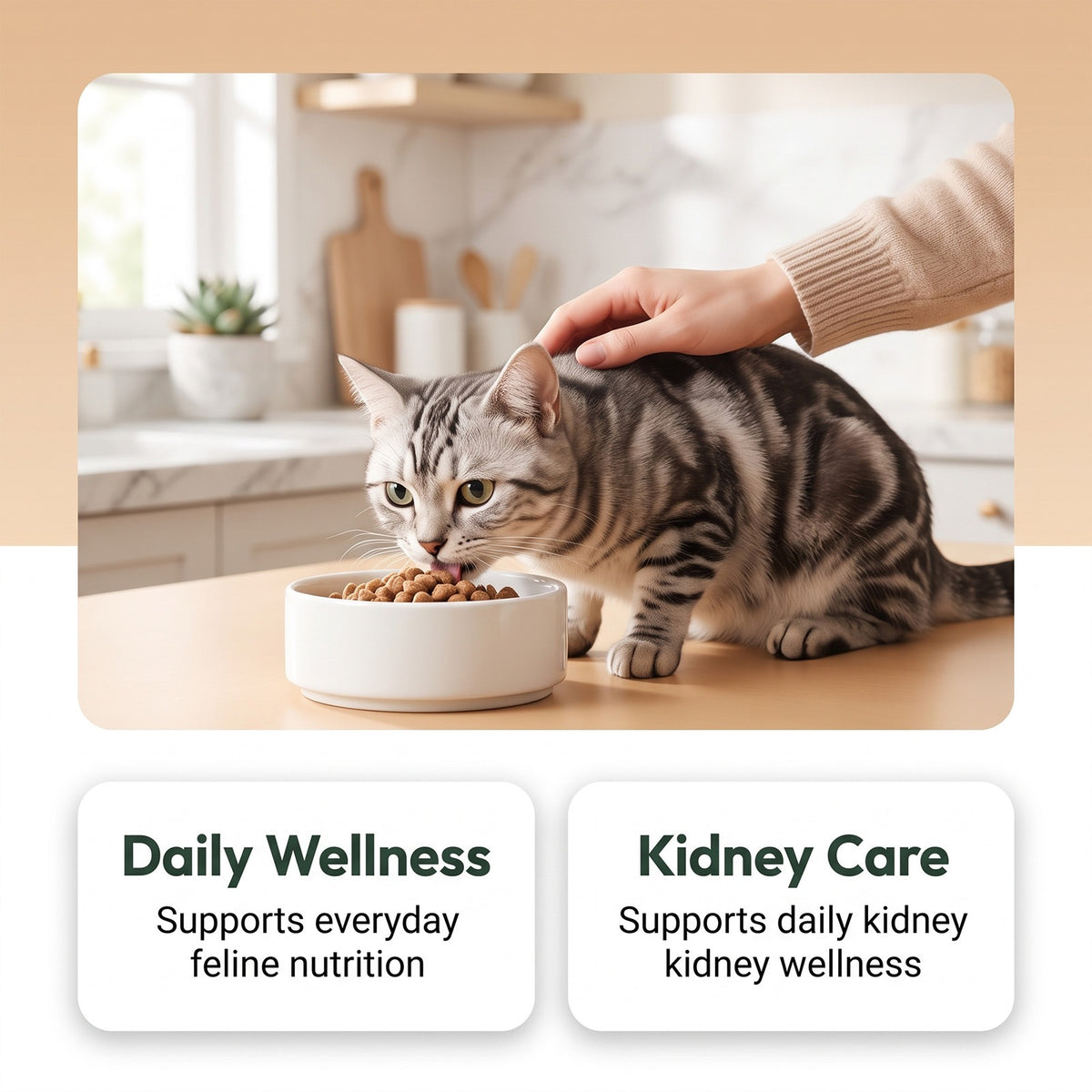 Kriath Cat Care Nutritional Powder Daily Care Confortable complément doux Cat Body Neede
