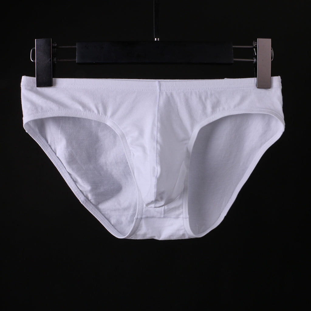 Sous-vêtements en coton Triangle pour hommes Basse taille Sexy U Pouch