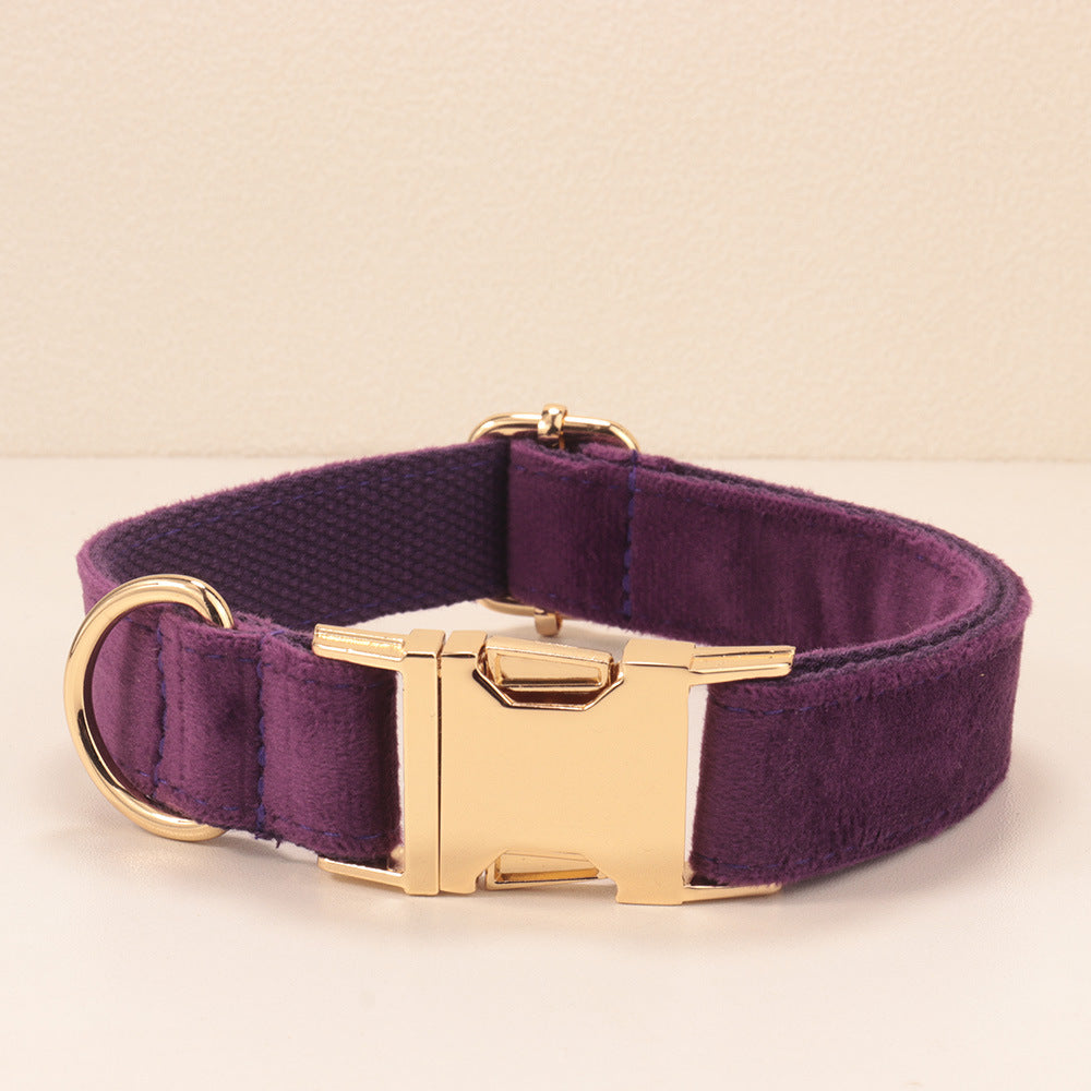 Collier de chien de velours et jeu de tir