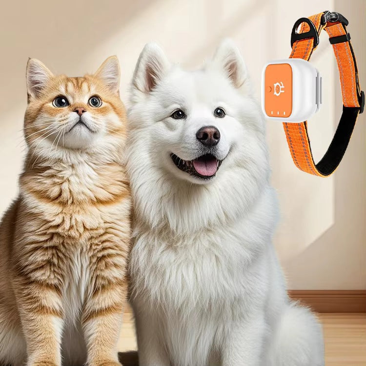 Chats et chiens de collier GPS 4G Suivi GPS en temps réel