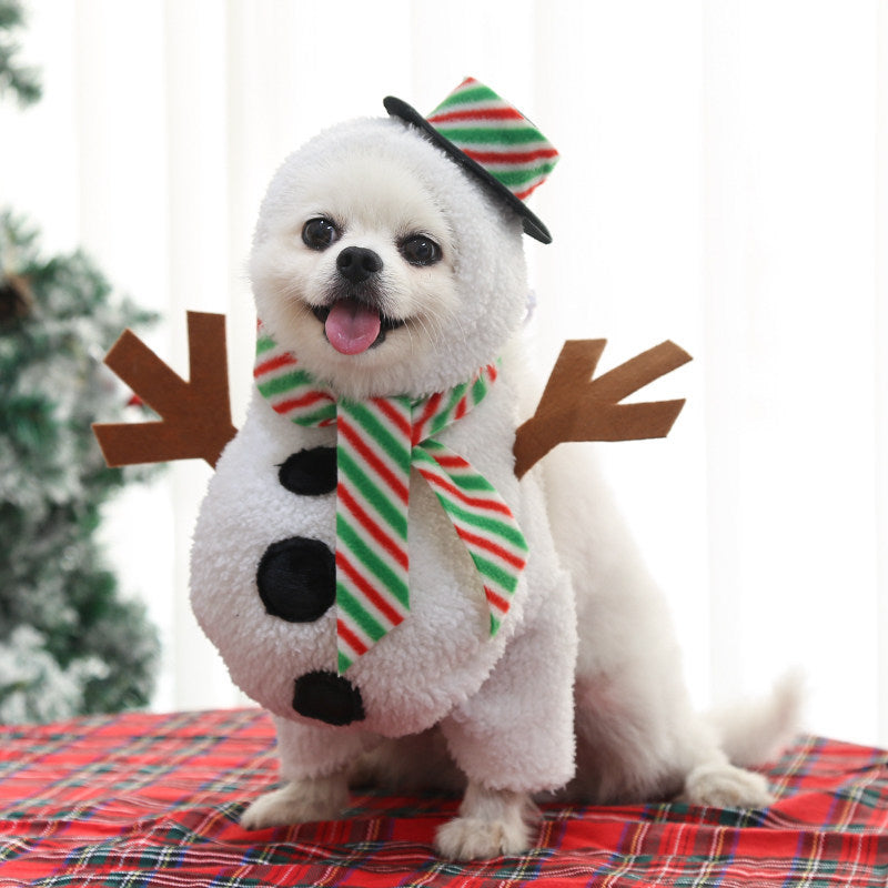 Déguisement de Noël pour petits chiens