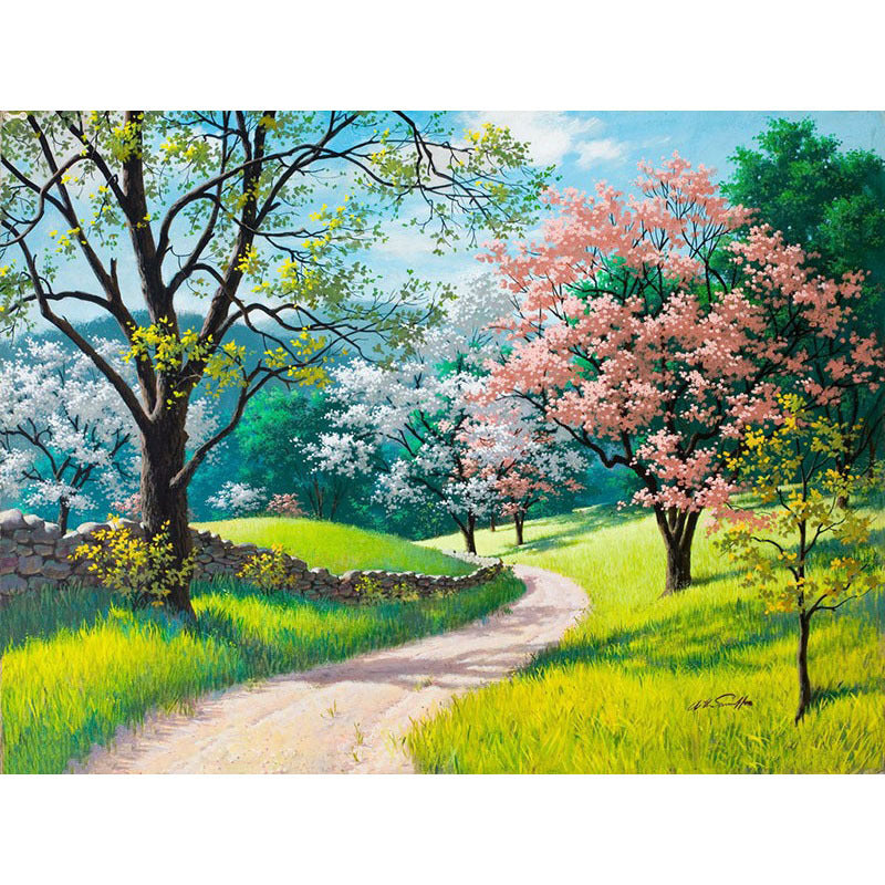 Peinture numérique Diy4050 paysage