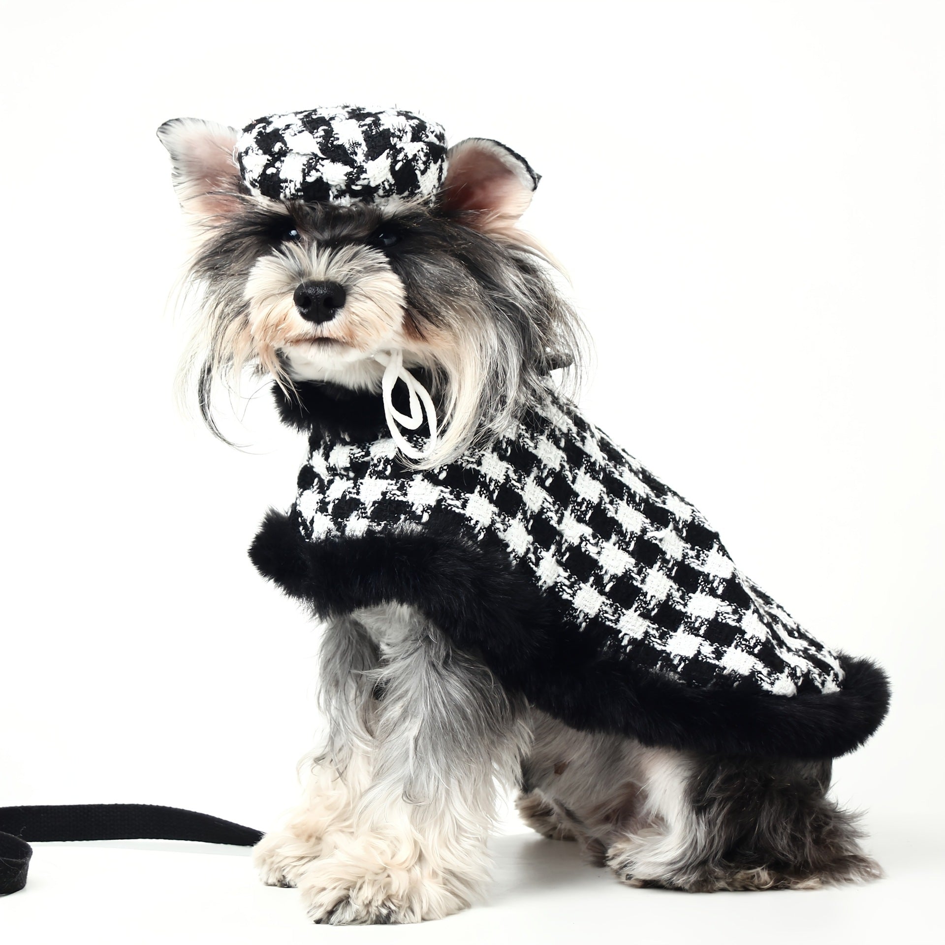 Coat et chapeau en peluche pour chiens petits et moyens