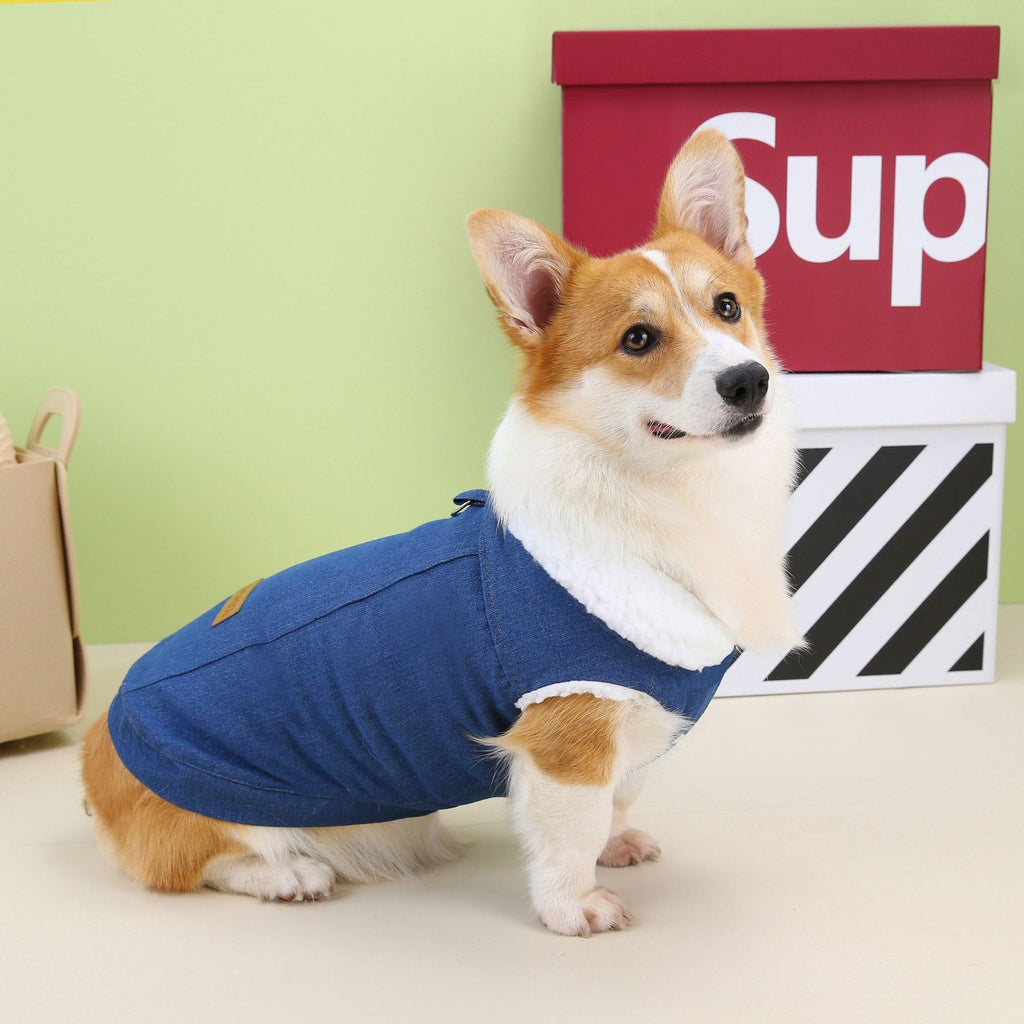 Robe de chien Corgi Denim Coton