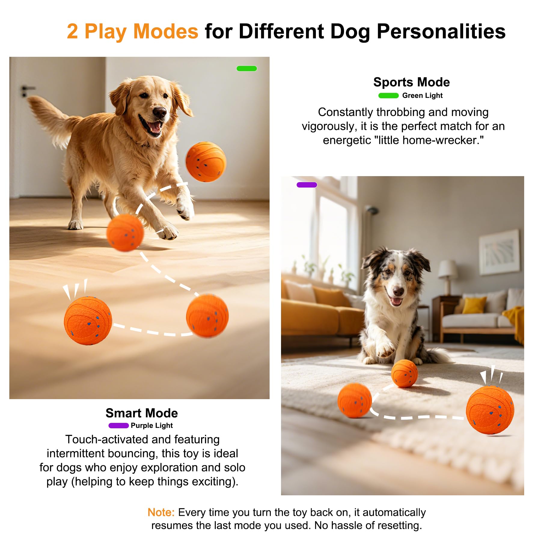 Balle de chien automatique interactive