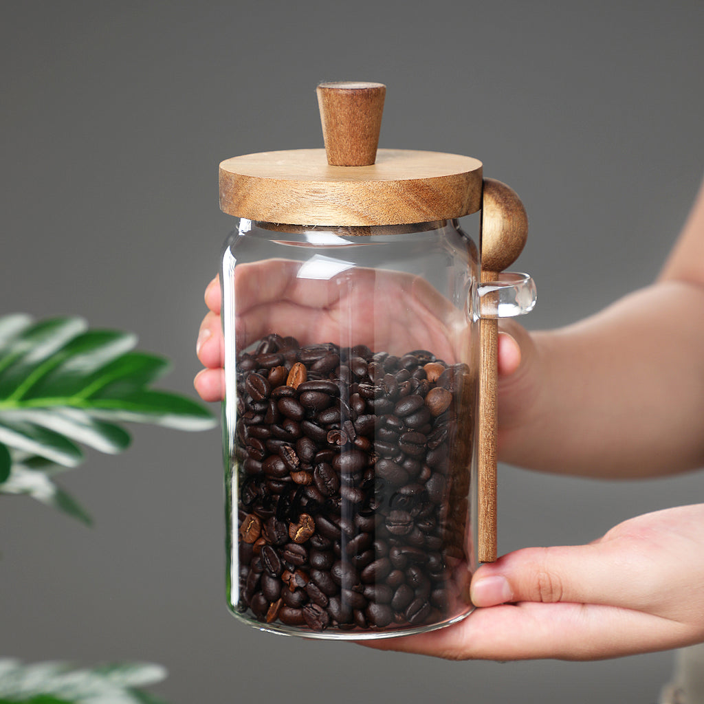 1 Pcs 15 OZ Pots de café en verre avec cuillères
