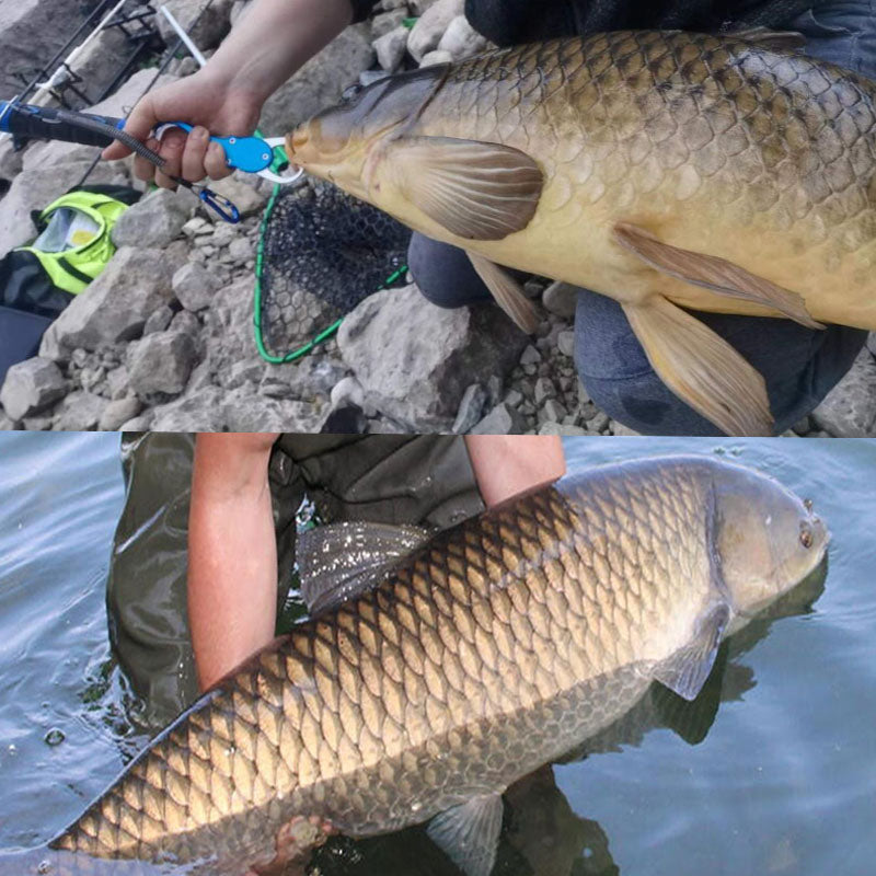 European-style lead core fishing line set