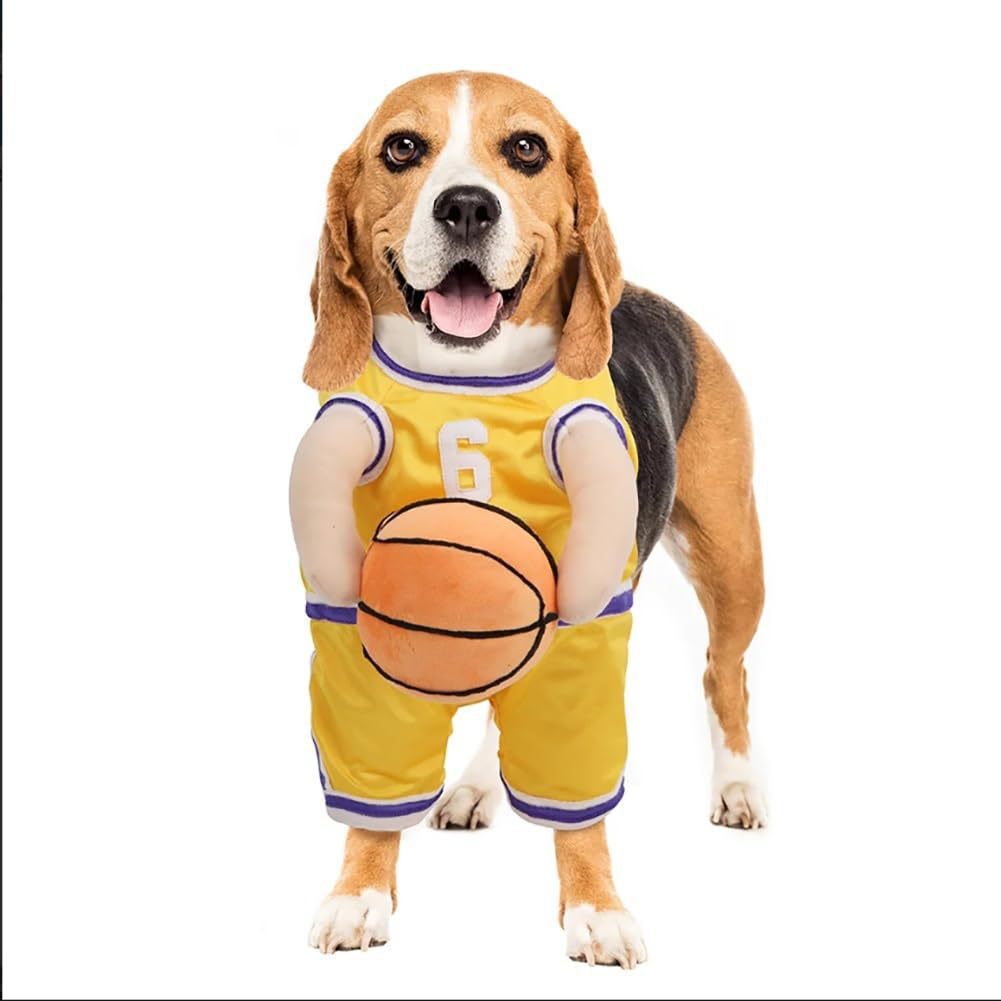 Costume de basketball de chien créatif avec balle